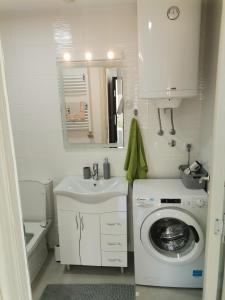 波扎雷瓦茨JOKER Apartman的小型浴室设有洗衣机和水槽。