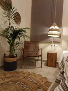 菲尼卡斯Petra Lodge的一间带椅子和植物的客厅