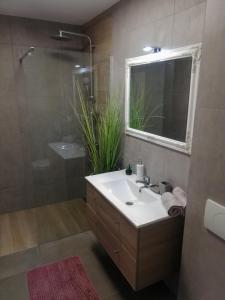 马卡尔斯卡Apartmani Mistral的一间带水槽、淋浴和镜子的浴室