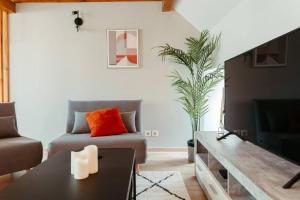 米卢斯La Villetta SPA -logement atypique的带沙发和电视的客厅