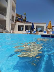 沙姆沙伊赫Jewel Sharm El Sheikh Hotel的游泳池里的海龟