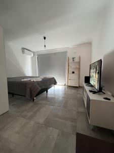 科尔多瓦Cba Rent的一间卧室配有一张床和一台平面电视