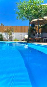 阿默达拉-伊拉克利翁RODI BLUE appartments的一个带遮阳伞的大型蓝色游泳池