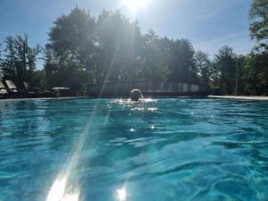 施泰格斯巴赫贝娅特丽克丝度假屋的一个人在游泳池游泳