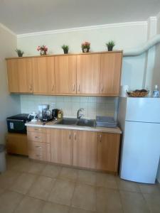 Alepoudimitris house 2的厨房配有木制橱柜、水槽和冰箱。