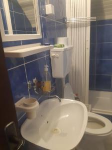 扎布利亚克Kovcica Rooms的浴室配有白色水槽和卫生间。