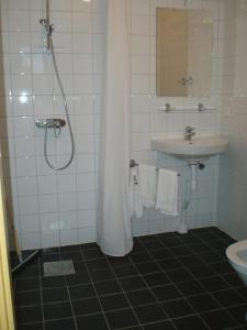 Borrby霍比农场酒店的带淋浴和水槽及淋浴帘的浴室