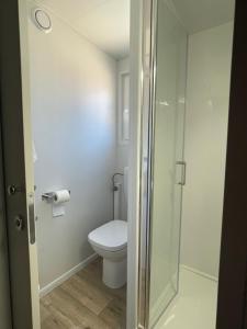 比奥格勒·纳·莫鲁Mobile Home BARTOL de LUX的一间带卫生间和玻璃淋浴间的浴室