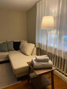 奥格雷Studio apartment Ogre的客厅配有沙发和带台灯的桌子