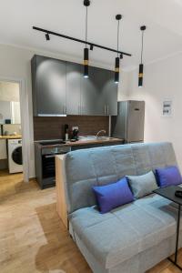 亚历山德鲁波利斯Stamatina's Luxury Apartment (Little Suite)的带沙发的客厅和厨房