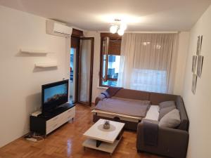 巴尼亚卢卡Apartment Lazarus Banja Luka的带沙发和电视的客厅