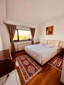 莫伊西德约斯Belvedere Resort Moieciu的一间卧室设有一张床和一个大窗户