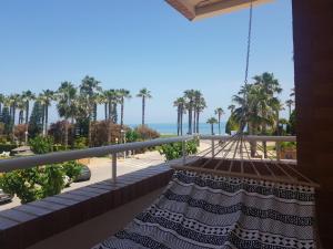 奥罗佩萨德尔马Marina dor Frontal 1ª línea的享有海滩和棕榈树景致的阳台