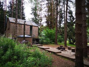 InturkėPrivate cosy forest cabin的森林中的小木屋