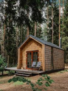 InturkėPrivate cosy forest cabin的森林中带两把椅子的小木屋