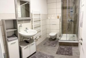 格蒙登Apartment in Gmunden的一间带水槽、卫生间和淋浴的浴室