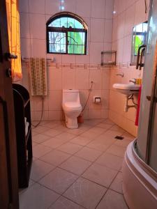 阿鲁沙Villa Jane的一间带卫生间和水槽的浴室