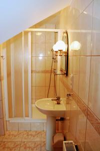 卡齐米日-多尔尼Chata za wsią的一间带水槽和镜子的浴室