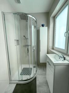 基拉尼Aghadoe Lodge的带淋浴和盥洗盆的浴室