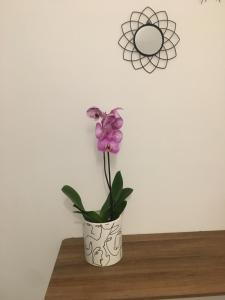 锡拉库扎Siracusa Vacanze的架子上白色花瓶里的紫色花