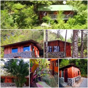 迦太基Cabañas Cerro Verde Lodge y Spa的房屋四张照片的拼贴