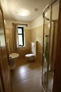 Dolni DvurJanova Bouda的浴室配有卫生间、盥洗盆和淋浴。