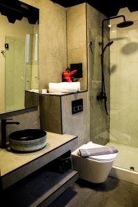 圣地亚哥Hotel Sommelier LOFT的浴室配有卫生间、盥洗盆和淋浴。