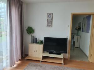 辛根Schöne Ferienwohnung Bodenseeregion的客厅设有木架上的平面电视