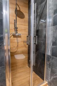 旧柳博夫尼亚Penzión Kolkáreň的浴室里设有玻璃门淋浴