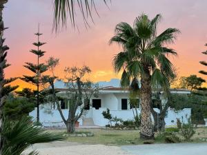 维耶斯泰Villa Angela case vacanza的白色房子前面的棕榈树