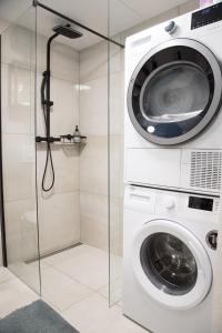 多姆扎莱Apartma Licko的带淋浴的浴室内的洗衣机