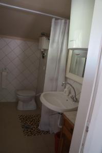 鲍道乔尼特尔代米茨Badacsony Vendégház的白色的浴室设有卫生间和水槽。
