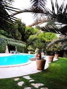 CalharizQuinta do Vale Encantado的庭院中棕榈树的游泳池