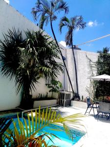 坎昆casa HIKURI的一个带棕榈树和游泳池的庭院