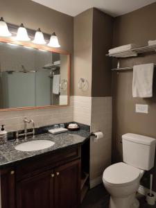 白石半中心房子酒店的一间带卫生间、水槽和镜子的浴室