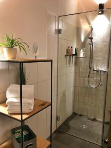 希明格Ferienwohnung Kaindl的带淋浴的浴室(带玻璃淋浴间)