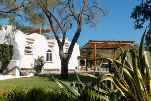 多尔加利Hotel Villa Cedrino的享有花园的景致。