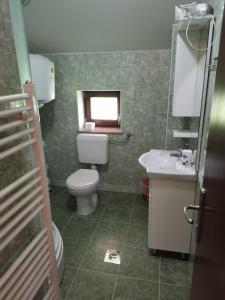 巴尼亚卢卡Resort Čokori的一间带卫生间、水槽和窗户的浴室