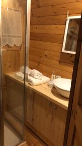 恩特拉奎Campeggio il Bosco的带淋浴和盥洗盆的浴室