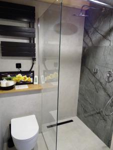 奥古斯图Ptasia Zatoka的一间带卫生间和玻璃淋浴间的浴室