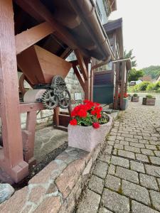 巴登-巴登Landhotel Traube的石头盒子里放着红色鲜花的庭院