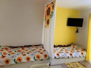 JumetCarpe Diem的一间卧室设有两张床,墙上配有电视。