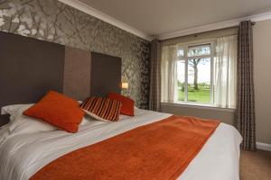 德里门丹洛明住宿加早餐旅馆的一间卧室配有带橙色枕头的床和窗户。