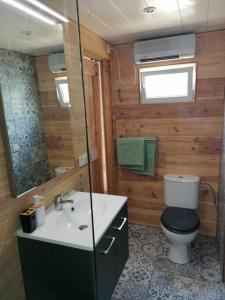 赫尔Le canard: rustig genieten aan het water的一间带水槽、卫生间和镜子的浴室