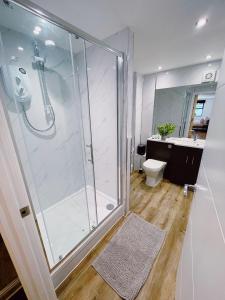 诺里奇Prosper House Apartment 4的带淋浴和卫生间的浴室