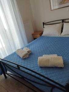 埃尔莫波利斯Syros House with View的一间卧室配有带毛巾的床