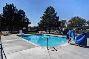 柯林斯堡柯林斯堡6号汽车旅馆的一个带两把椅子的游泳池和一个蓝色的游泳池