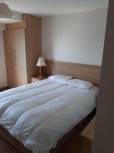 斯莱戈LILA Lake Isle Luxury Aparthotel的卧室配有一张带两个枕头的大白色床