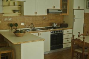庞迪底雅科Monolocale Serafini Appartamenti Comano Terme的厨房配有白色橱柜、水槽和炉灶。