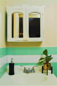金斯敦新金斯顿住宿加早餐旅馆的浴室水槽,配有镜子和盆栽植物